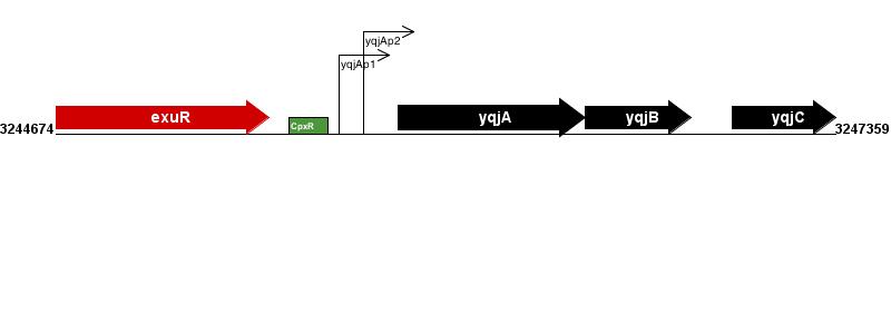 Figure courtesy of RegulonDB