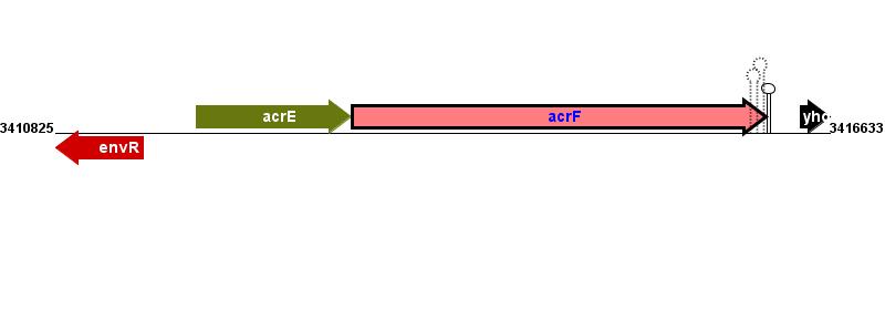 Relrec Annotation Example Acrf Figure courtesy of RegulonDB