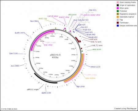 pET-32b(+) DNA - EcoliWiki