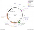Thumbnail for version as of 15:45, 17 August 2011