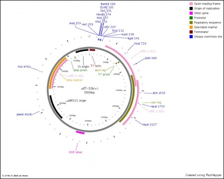 pET-32b(+) DNA - EcoliWiki