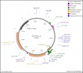 Thumbnail for version as of 14:18, 17 August 2011