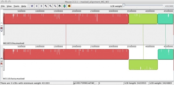 MG1655 vs W3110 genomes.jpg