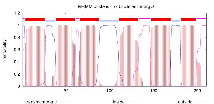 argO graph from TMHMM